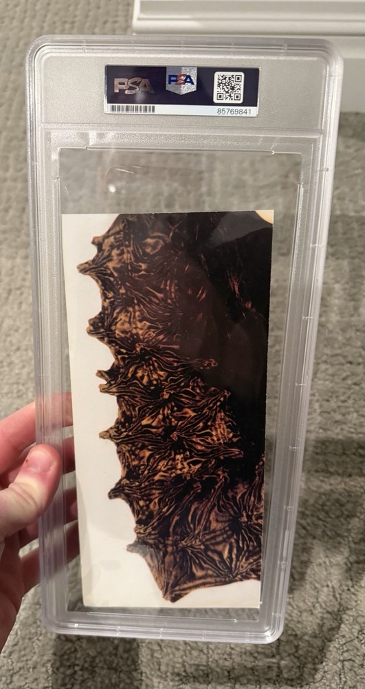 Beautiful Michael Jackson Signed Cut PSA DNA Certified Autograph Huge Auto