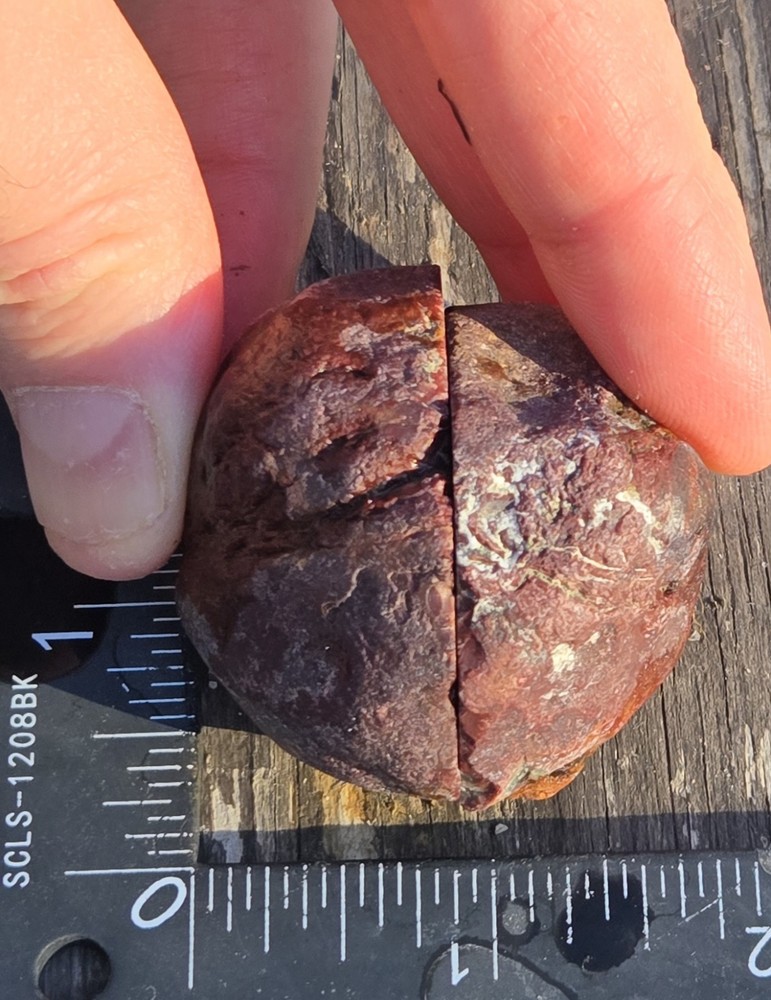 Royal Imperial Jasper Nodule Cut In Half Beautiful Egg Circle Pattern Rough