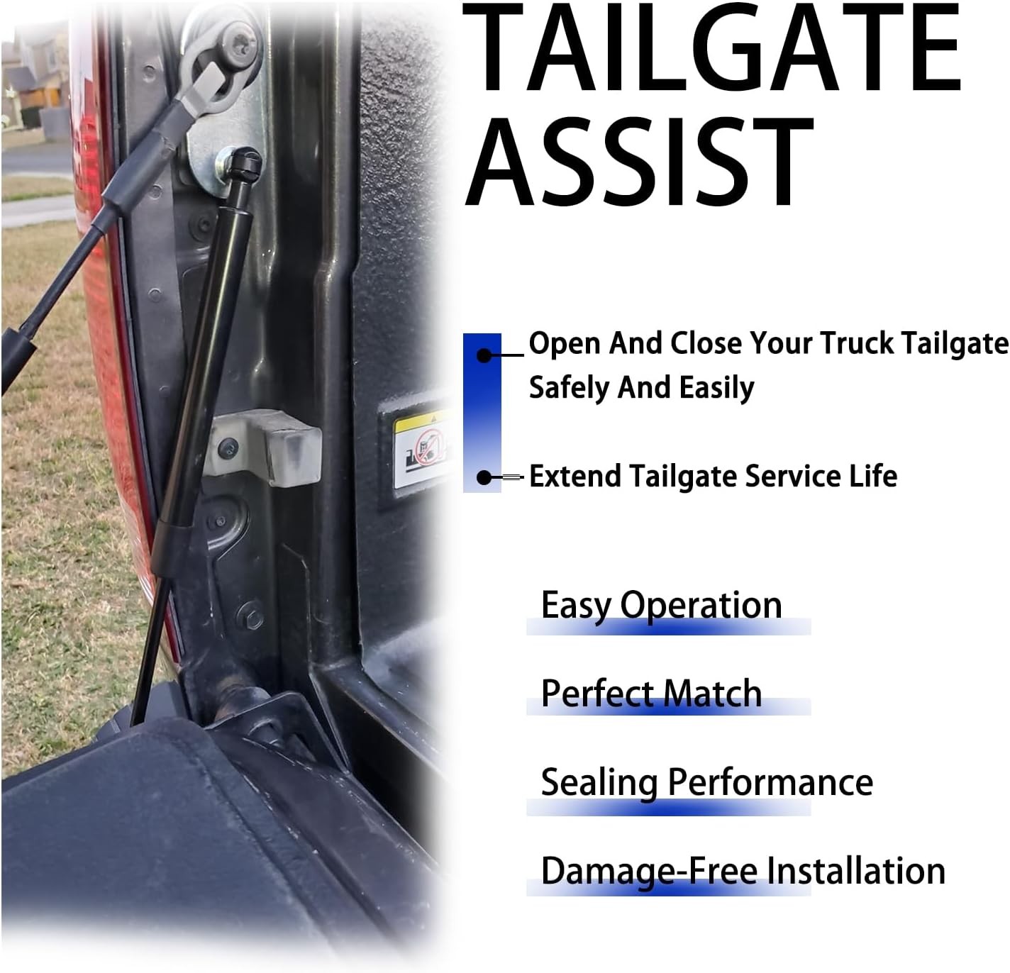 Truck Tailgate Assist, Compatible with Ram 1500 2009-2018, Ram 2500 3500 2010-20