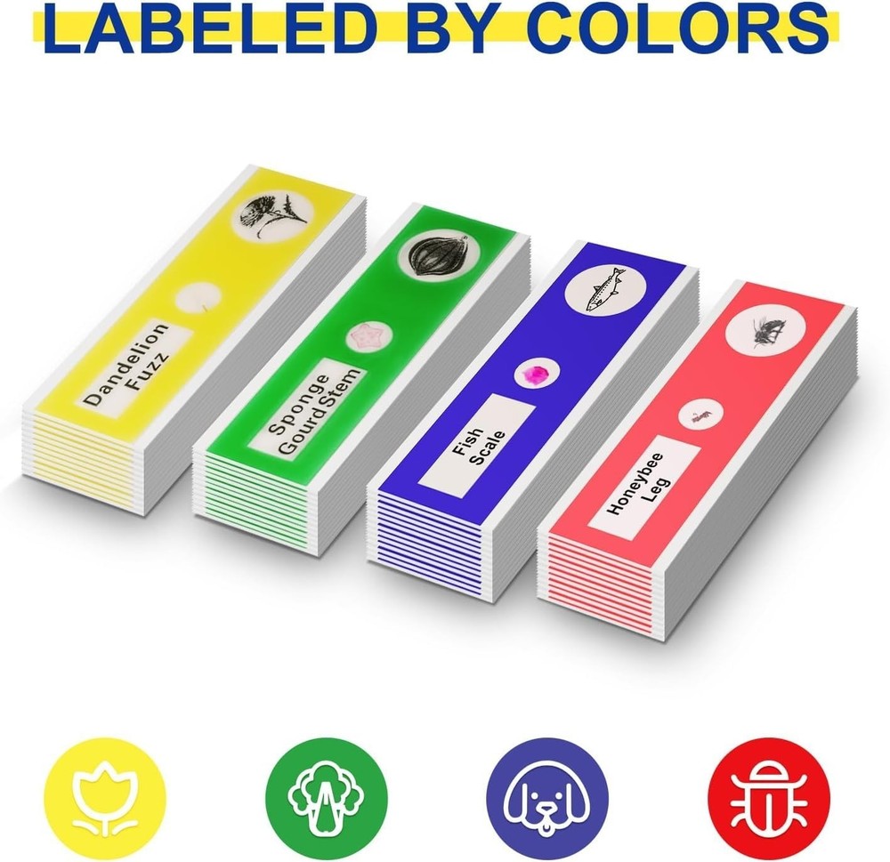 48-Piece Prepared Microscope Slides with Diverse Specimens for Young Scientists