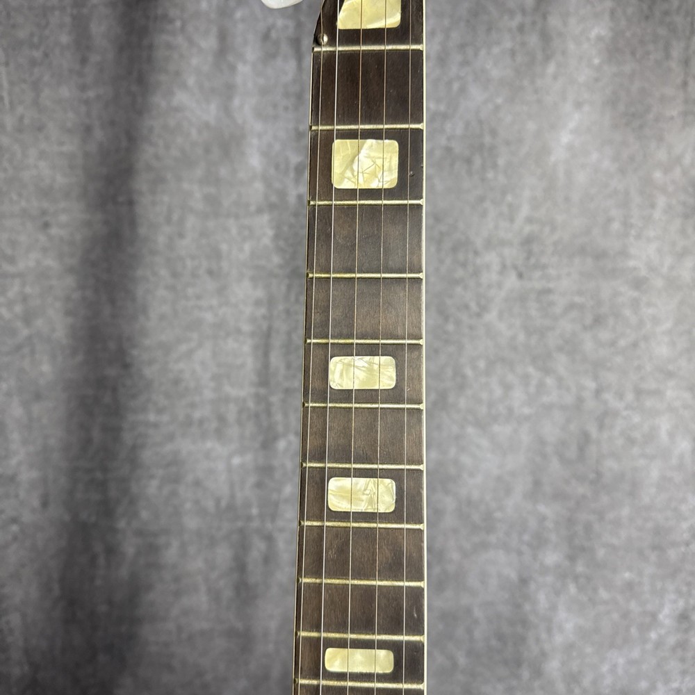 Aria 5-String Banjo Japan w/ Hard Case