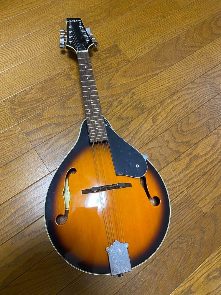 Aria Mandolin Am -20 Japanese Stringed instrument Flat Mandolin with Strap