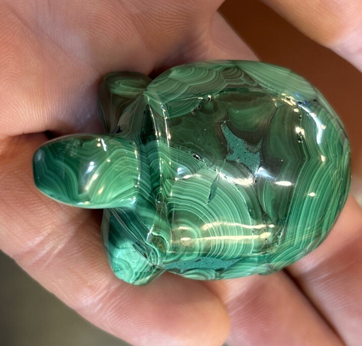 2” Malachite Turtle