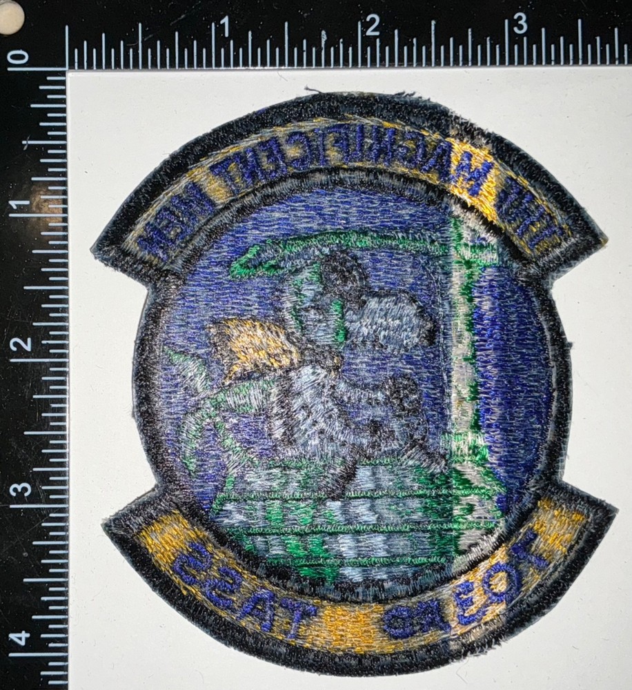 USAF US Air Force 703rd TASS Tactical Air Support Squadron Patch