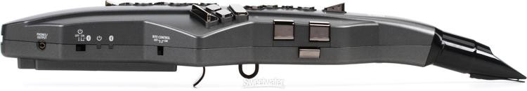 Roland Aerophone GO Digital Wind Instrument