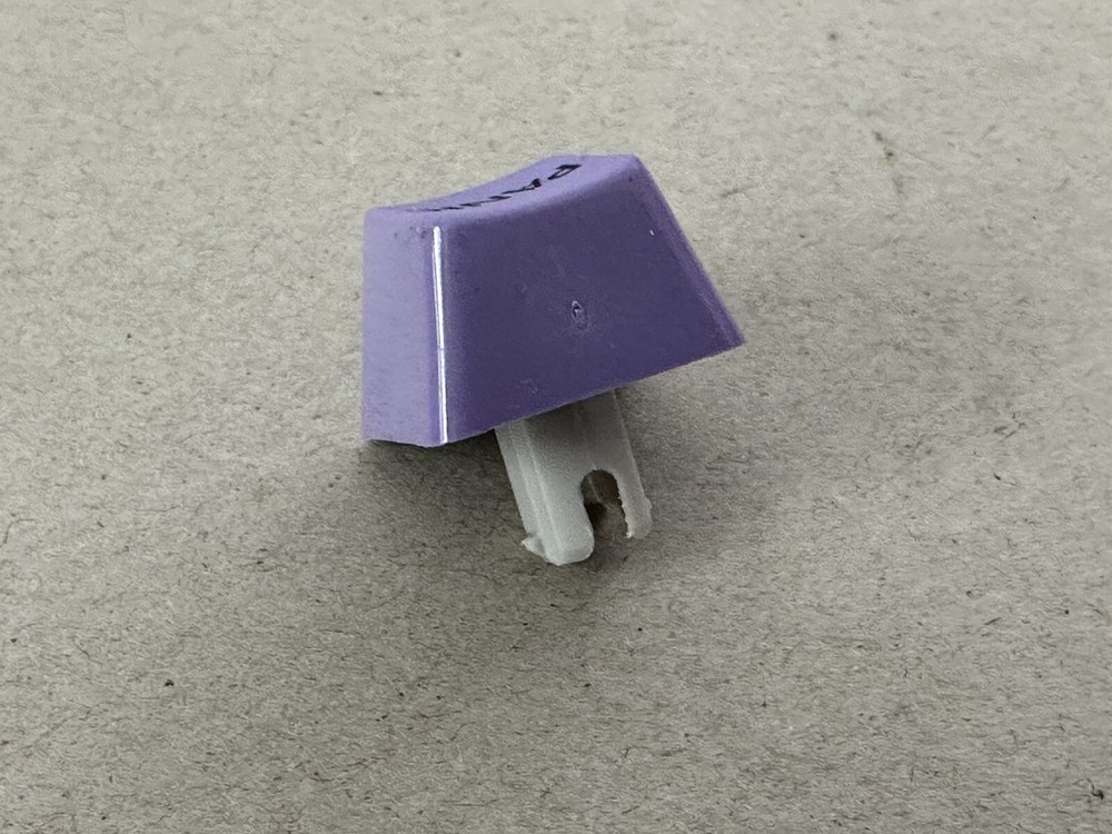 Purple PANIC Key Cap IBM Model M Replacement Unicomp - Humor / Funny