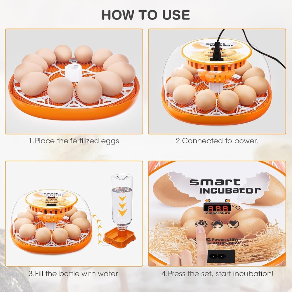 12 Egg Incubator with Automatic Egg Turning and Temperature Control, Automati...