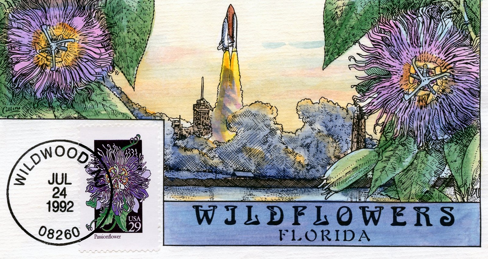 WWLF COLLINS FDC HAND PAINTED  STATE WILDFLOWERS  2674   FLORIDA
