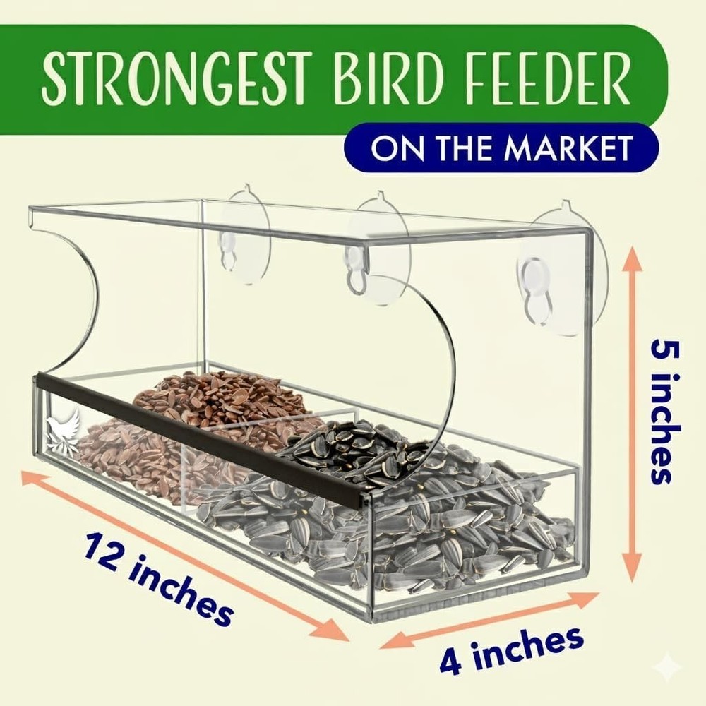 Window Bird Feeder with Strong Suction &