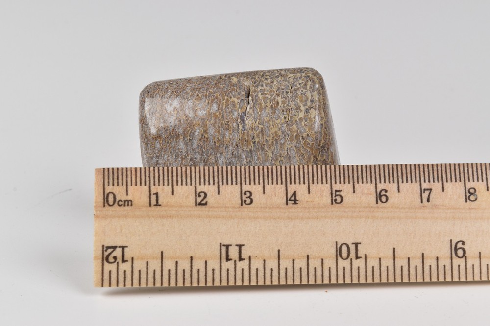 Polished Dinosaur Bone from Morocco 4.7 cm # 21578