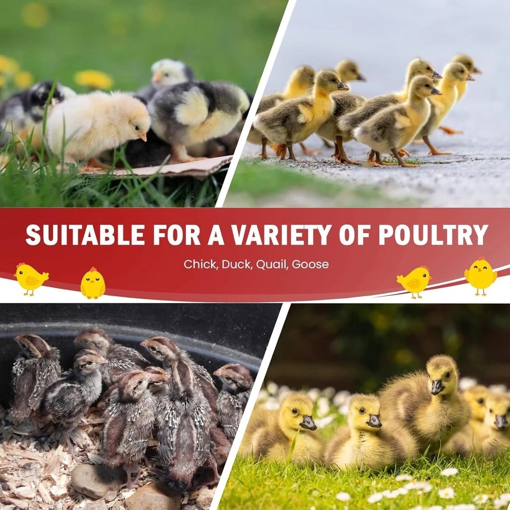 Versatile Chick Brooder Kit - Indoor/Outdoor Comfort for 15 Chicks, Ducks, Quail