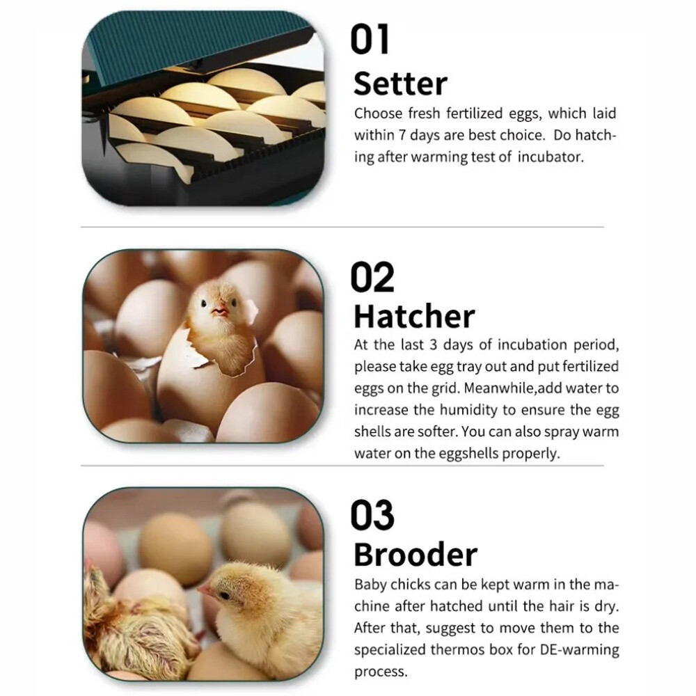 Egg Incubator Automatic Chicken Quail Chick Hatcher Incubators For Hatching Eggs