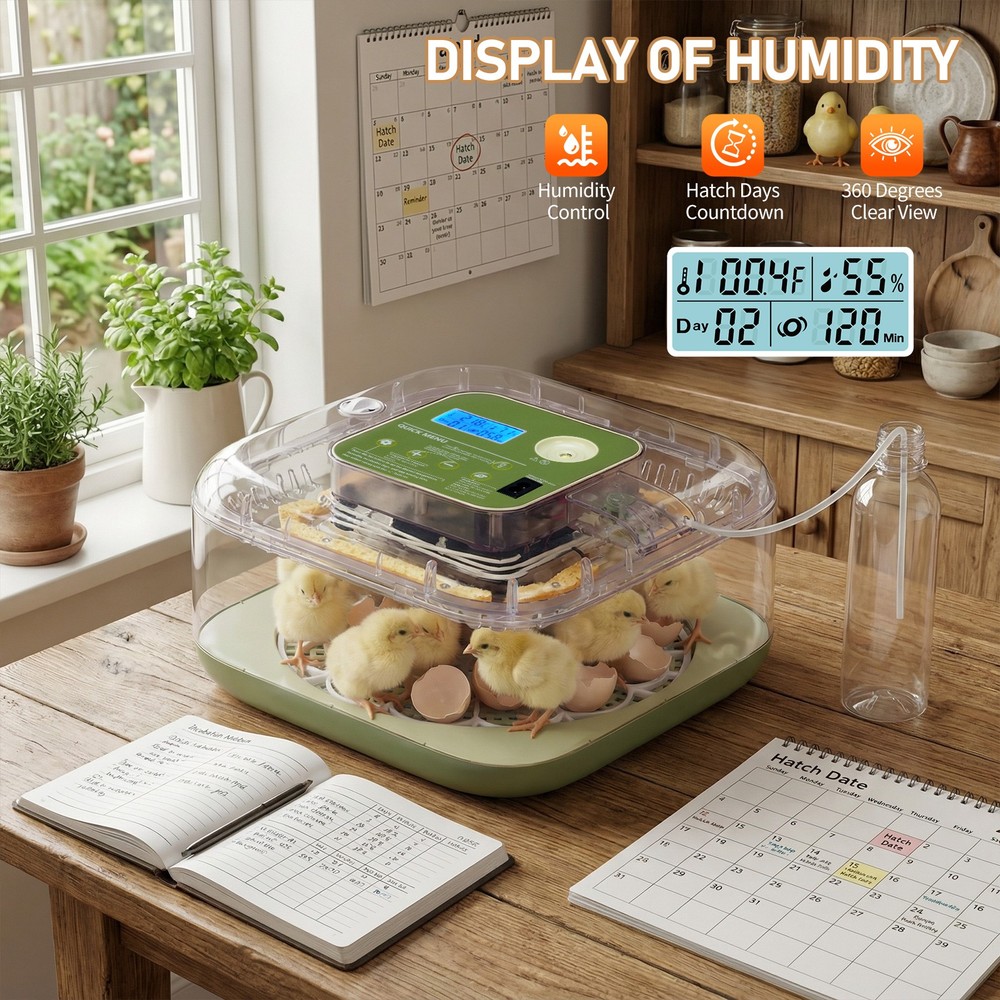 Digital Incubator for Hatching 12 Eggs, Egg Incubator with Automatic Egg Turning