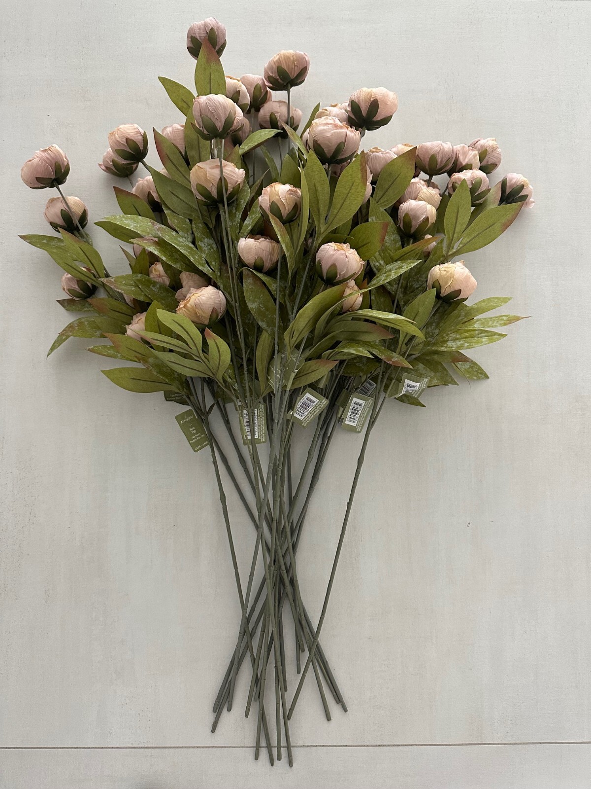 BRAND NEW MICHAELS STORES TAN PEONY STEMS BY ASHLAND 16 STEMS VIRAL RARE!