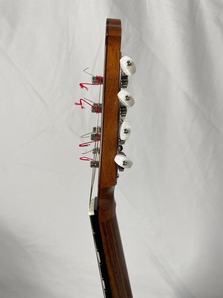 ASTURIAS MS-1bis mandolin with case