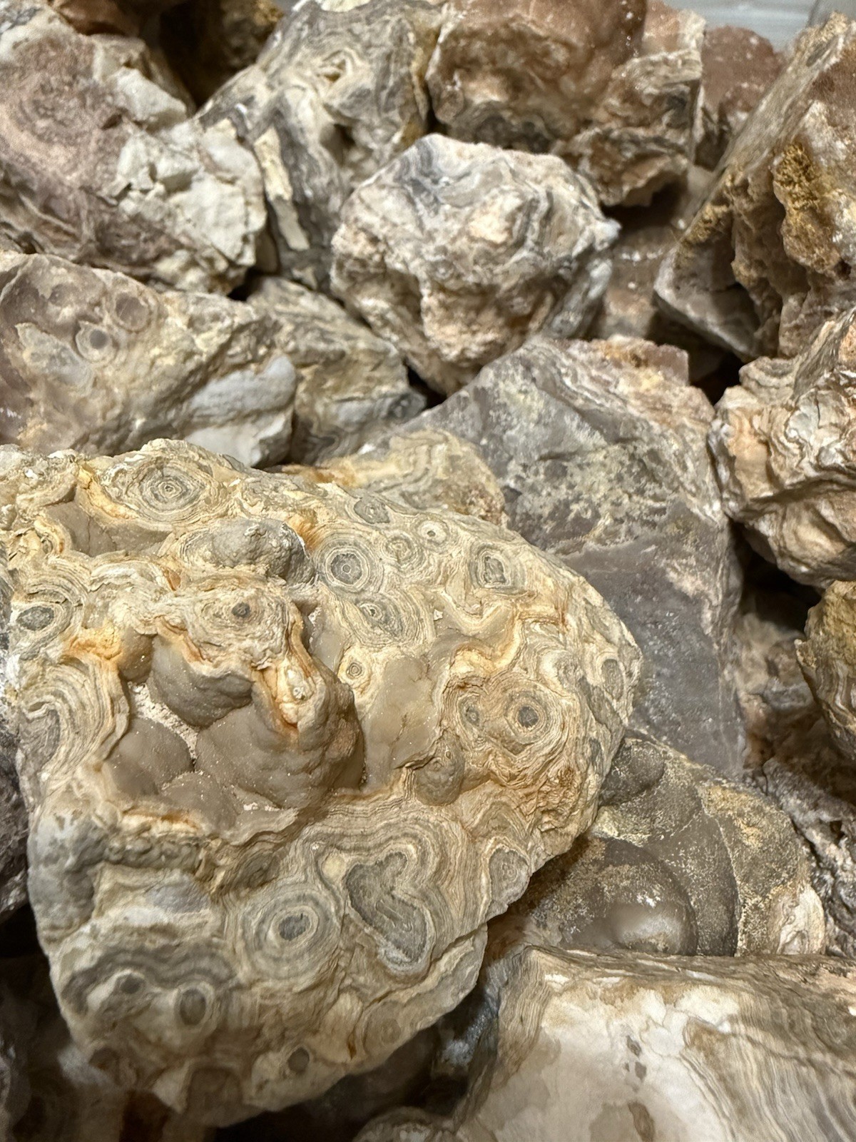 Crazy Lace Agate Rough,  Lace Agate 5 lbs lot, Raw Summerville Lace Agates