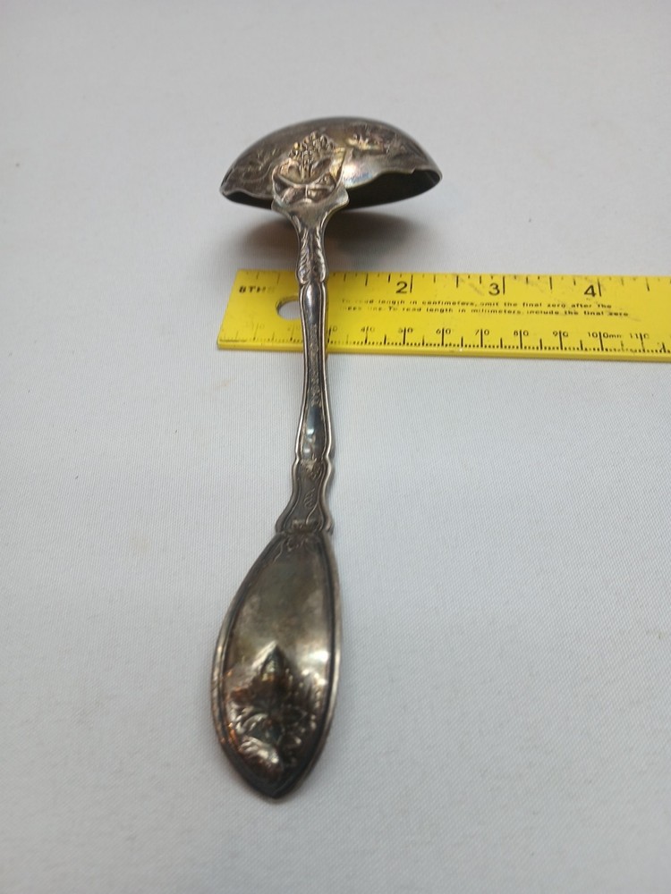 Wm. Rogers & Son IS Grapevine SILVERPLATE Dipping LADLE Spoon