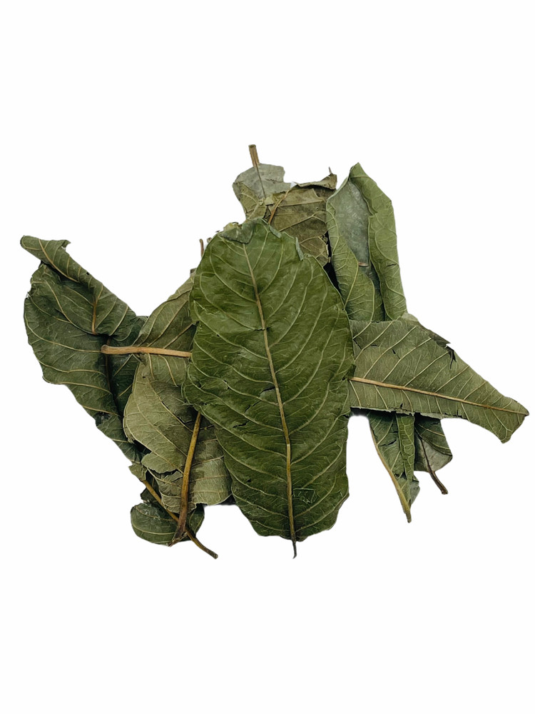 Guava Dried Whole Leaves - 2 oz.