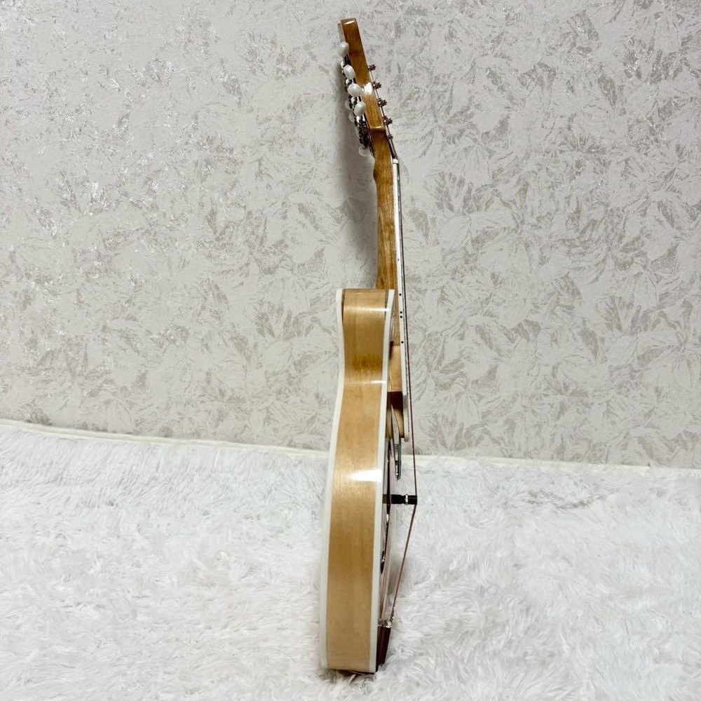[Rare item] MYLOWE flat mandolin with hard case
