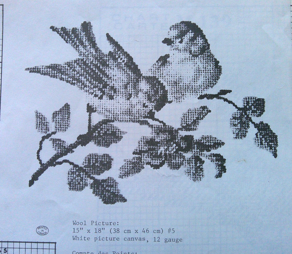 Two Canaries needlepoint pattern  Jean McIntoch  *D11
