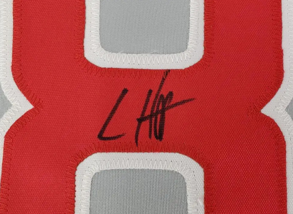 IAN HAPP Signed Chicago Cubs Custom Jersey (JSA Basic COA)