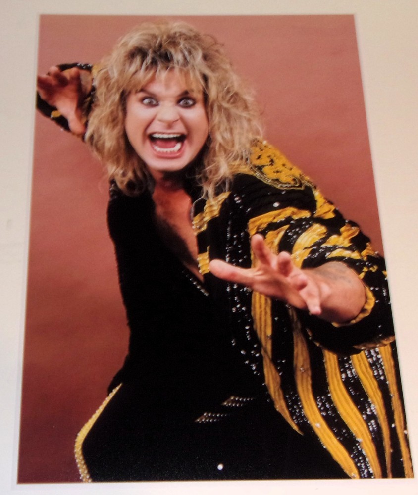 Large Ozzy Osbourne The Ultimate Sin Promo 1986 (Black Sabbath) Poster 19"x13"