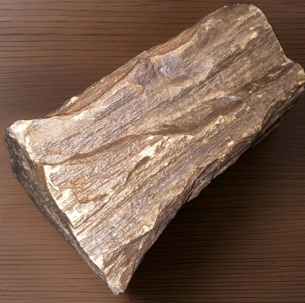 Petrified Wood Rough 1 lb