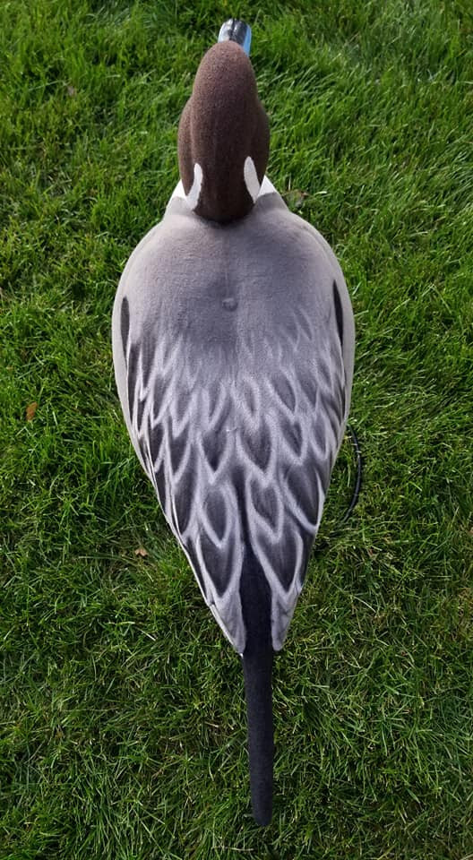 Pintail Decoy Full Body Flocking Kit
