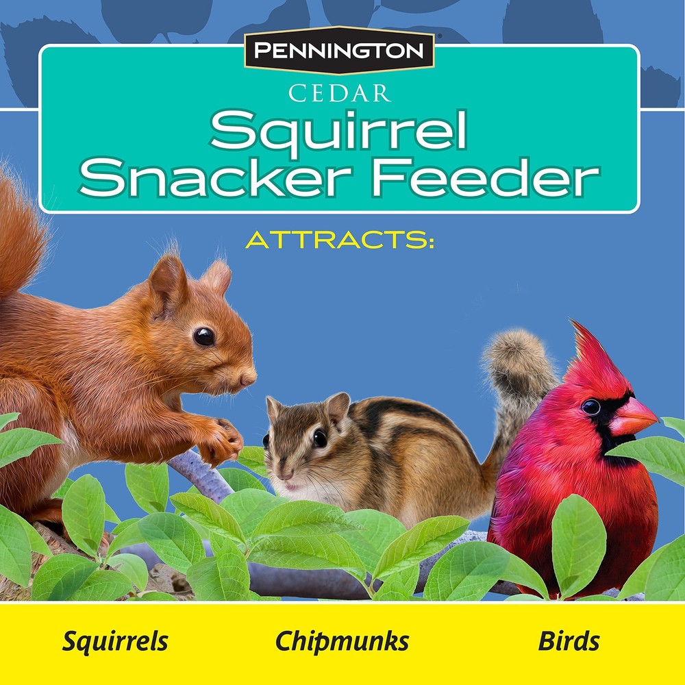 Pennington Cedar Squirrel Snacker Feeder, 2.75 LB Pounds Capacity,