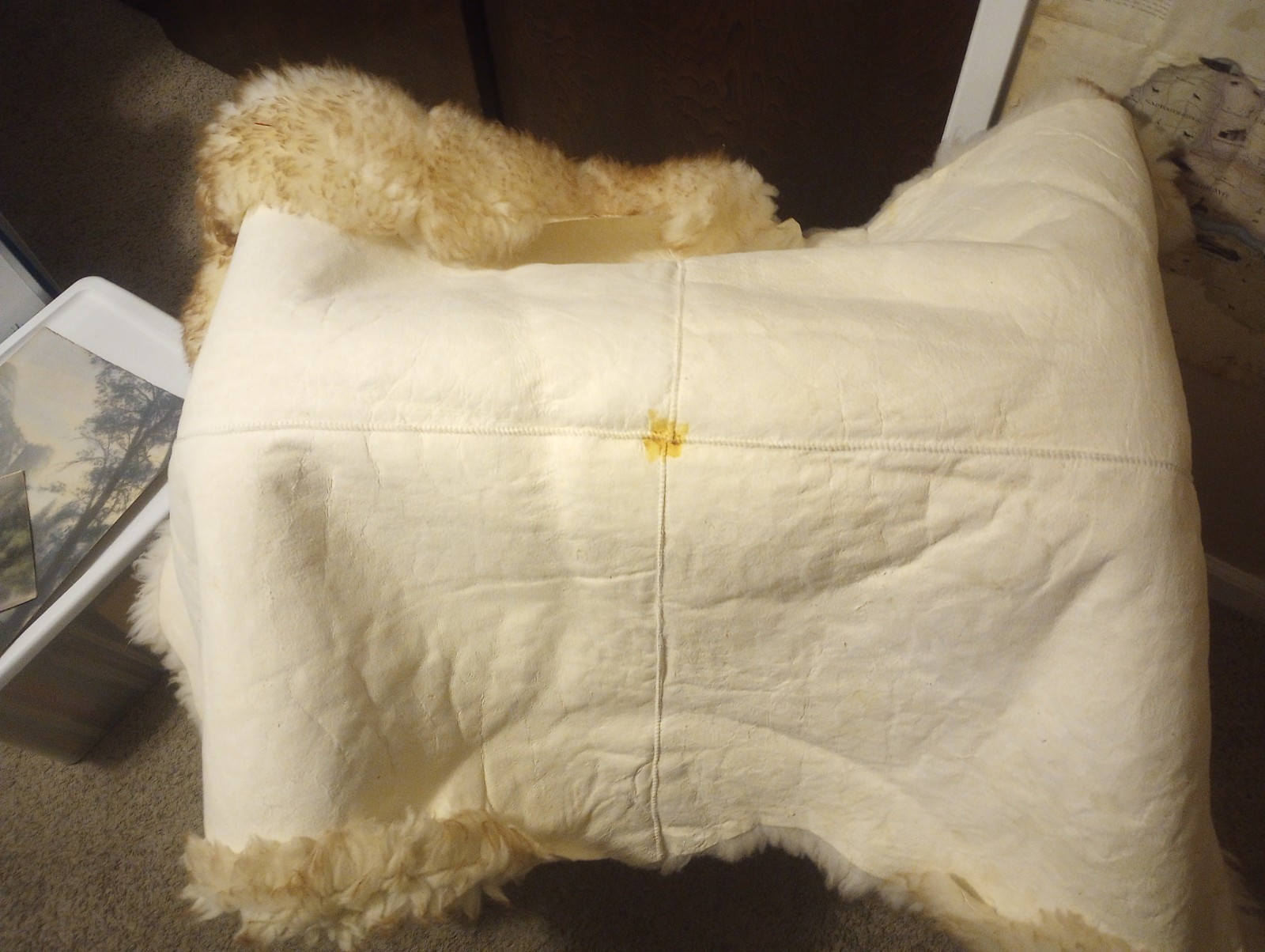 6’ x 3’ Real Lambskin Area Rug KNIGHT 5 Star NEW ZEALAND Or Australian