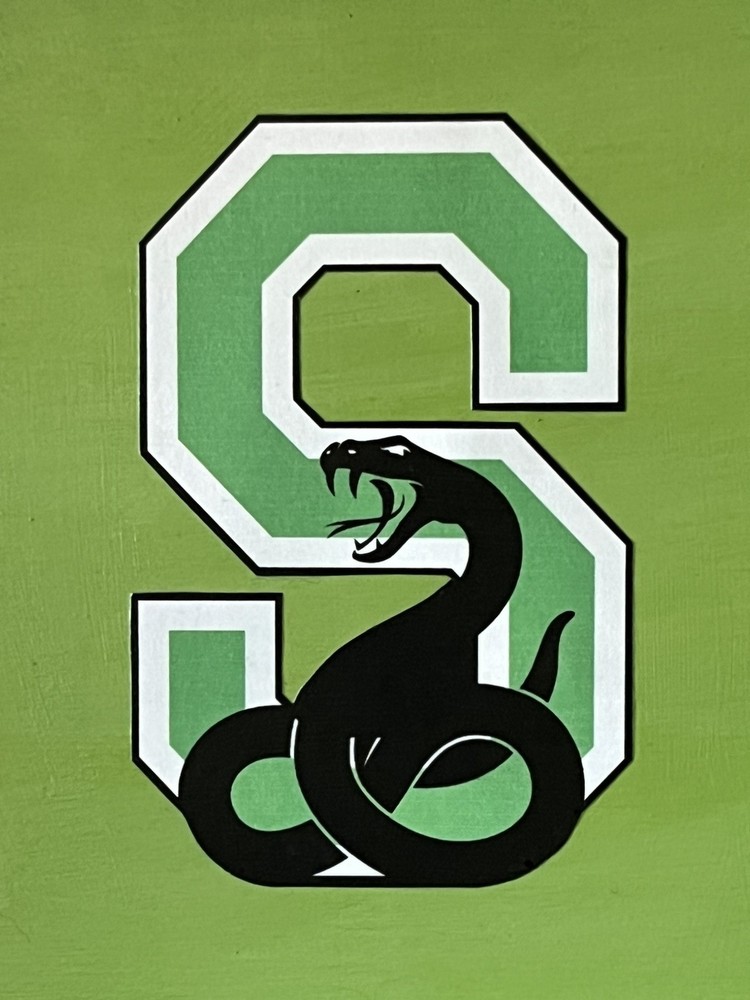 Slytherin inspired Memory / Keepsake Box