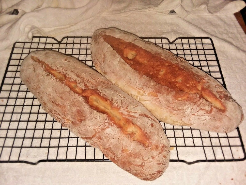 SourDough Starter - Fresh Bread in 24 Hours! Yeah, its that good.