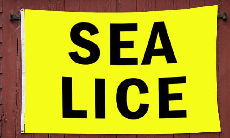 Stellar Fishing Sea Lice 3' x 5' Polyester Flag