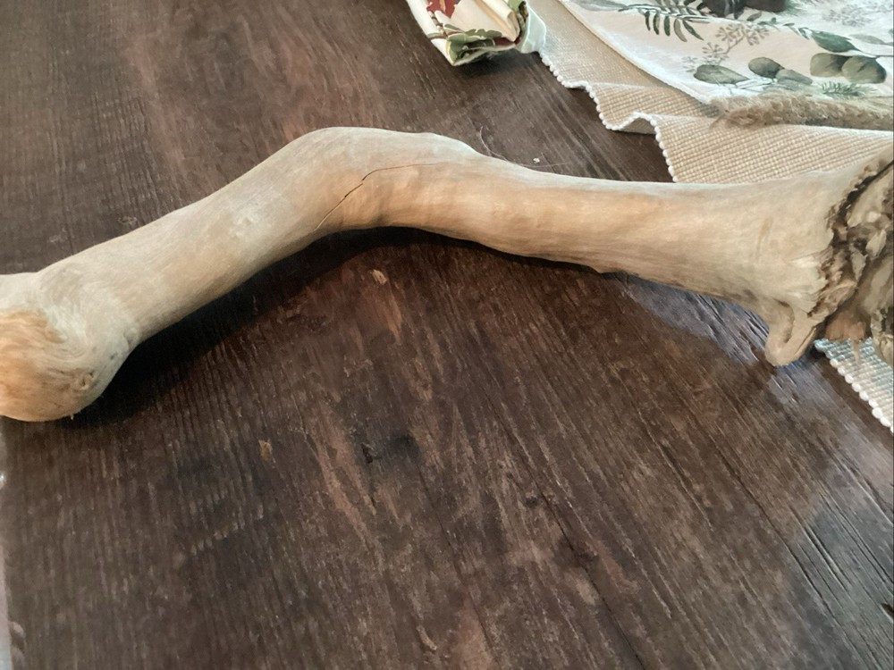 Mammoth Bone