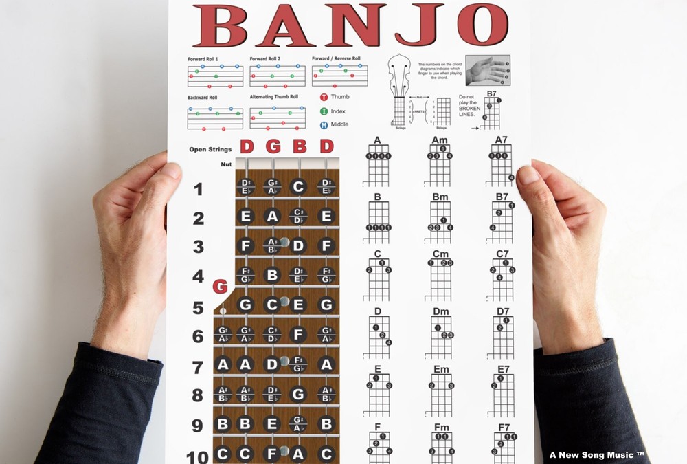 Banjo Chord Chart Poster Fretboard Rolls 5 String Chords Beginner Notes Theory