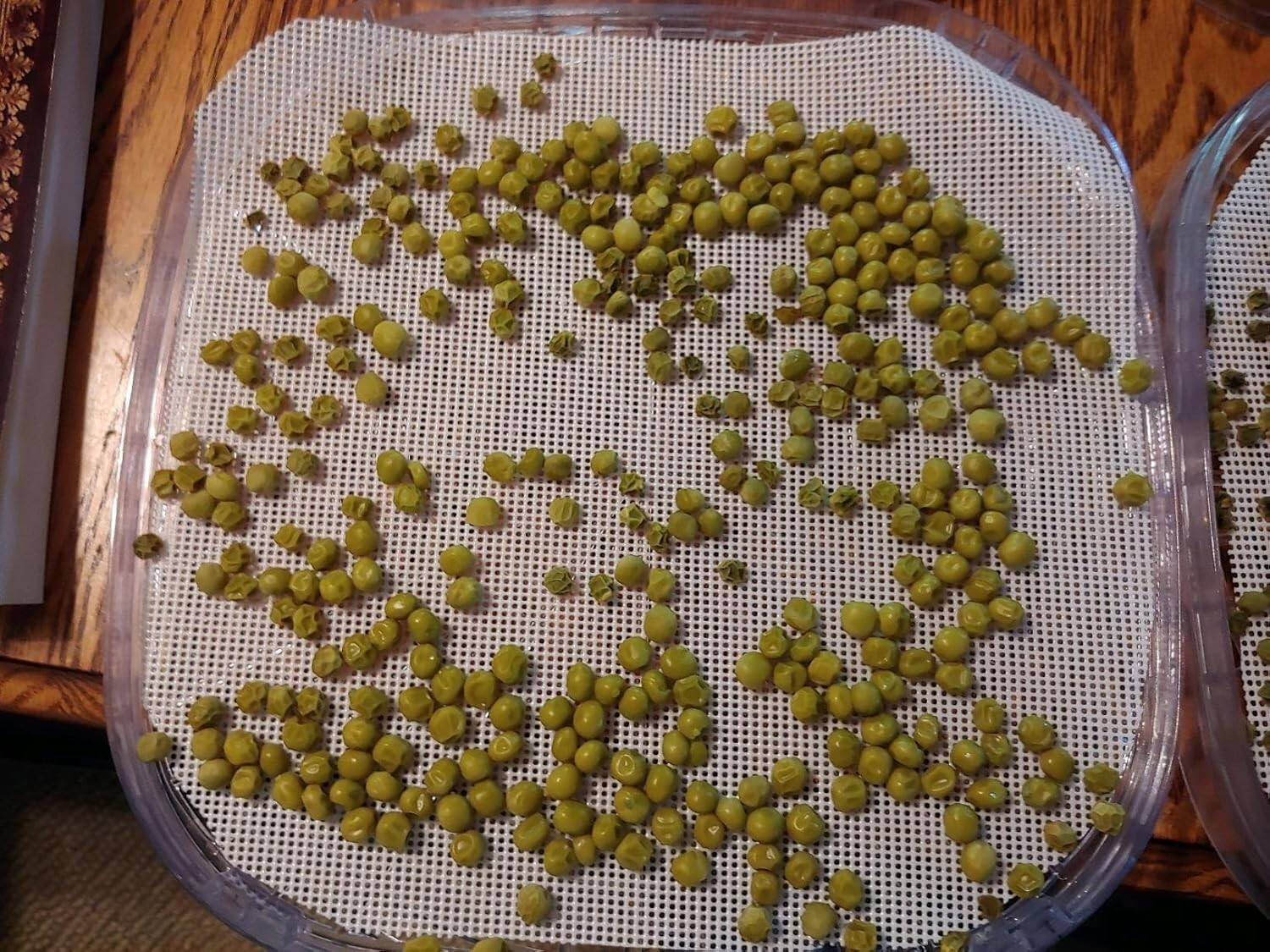 8 Pcs Silicone Dehydrator Sheets NonStick Mesh Mats for Fruit Food Tray Liner