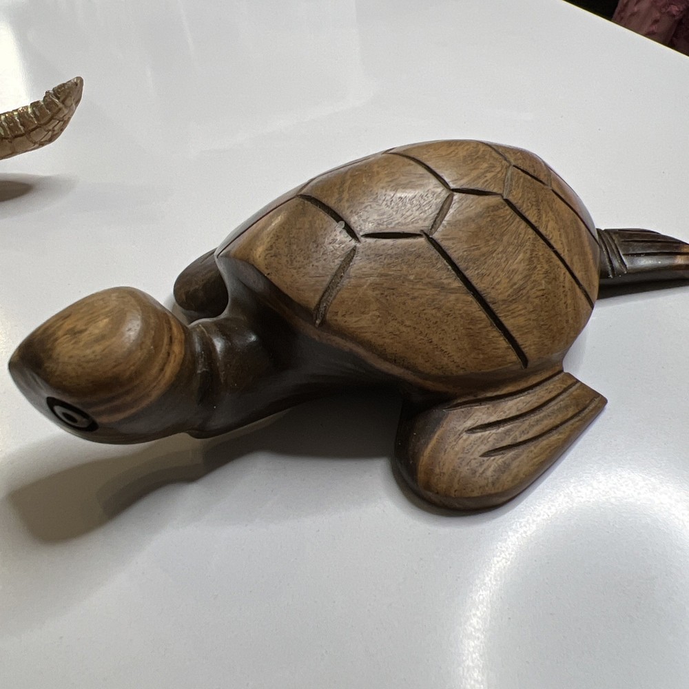 Turtles 5 Pieces Sea Turtles