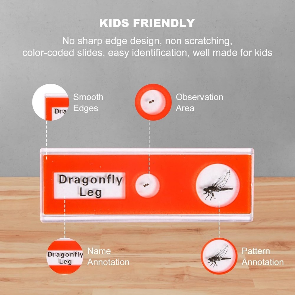 Clear Observation with 48 Biological Microscope Slides - Kid-Friendly Science
