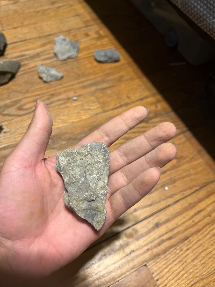 Marine Fossil Rocks