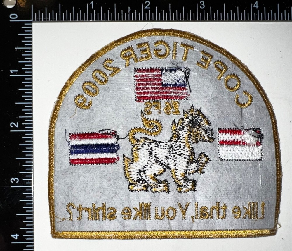 USAF 25th Fighter Squadron Cope Tiger 2009 Thailand Patch