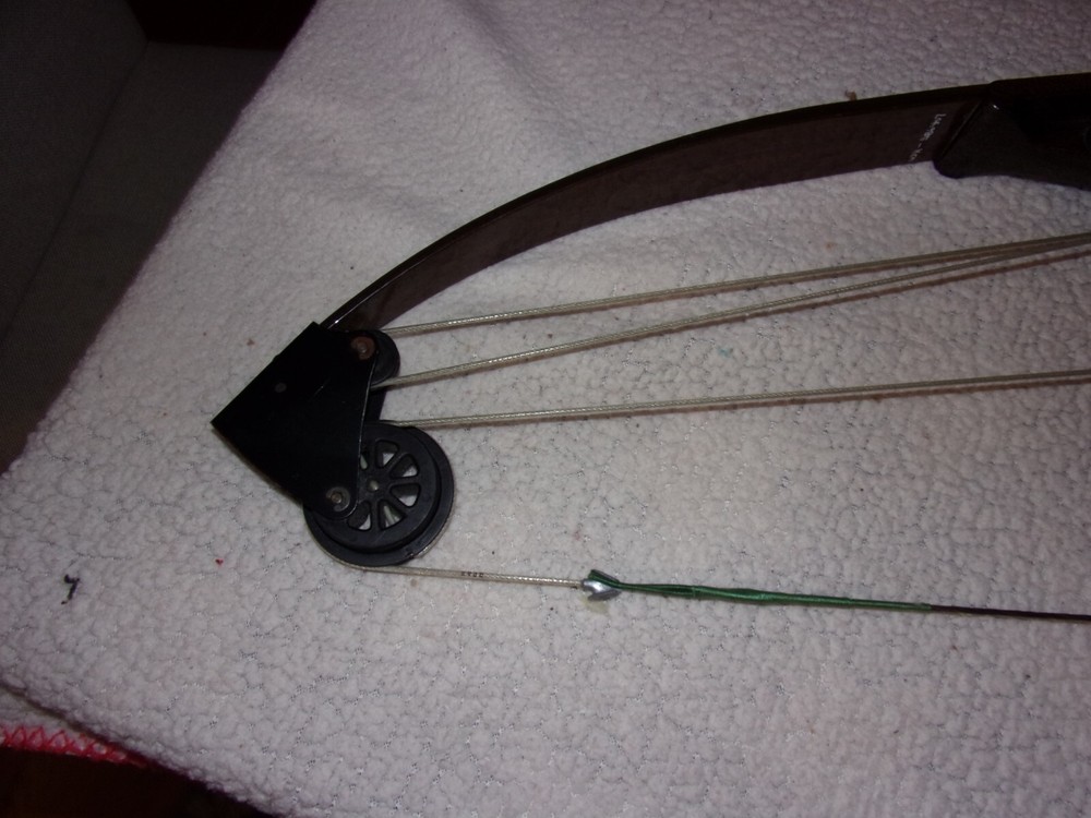 Bear Archery Whitetail Hunter Compound Bow