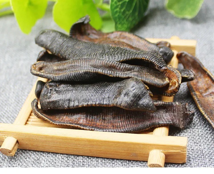 Natural Plant Longevity Recipe 泡酒料 养生长寿 宽体金边大水蛭干100克 非清水吊干