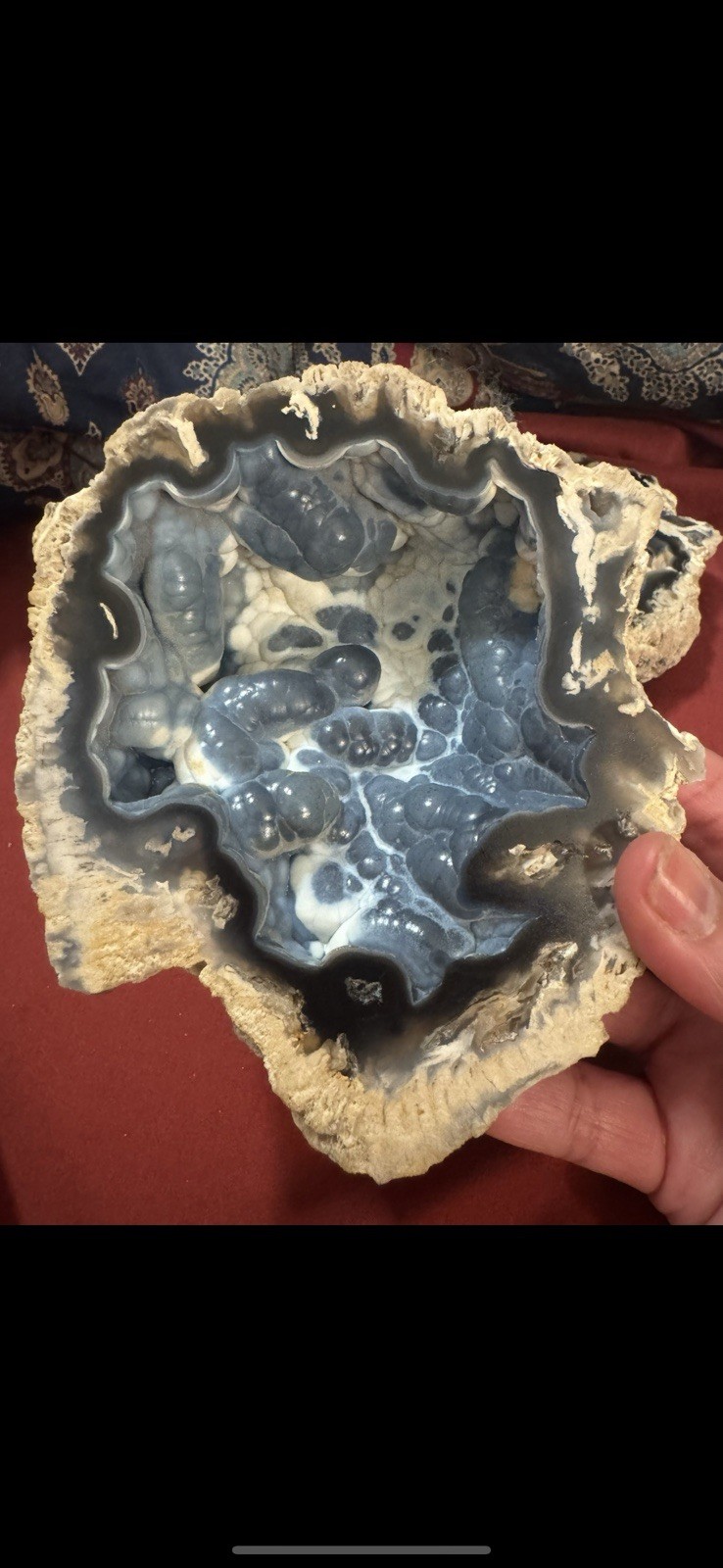 Rare Agatized Coral Fossil Geode -Large, Rare Colors!
