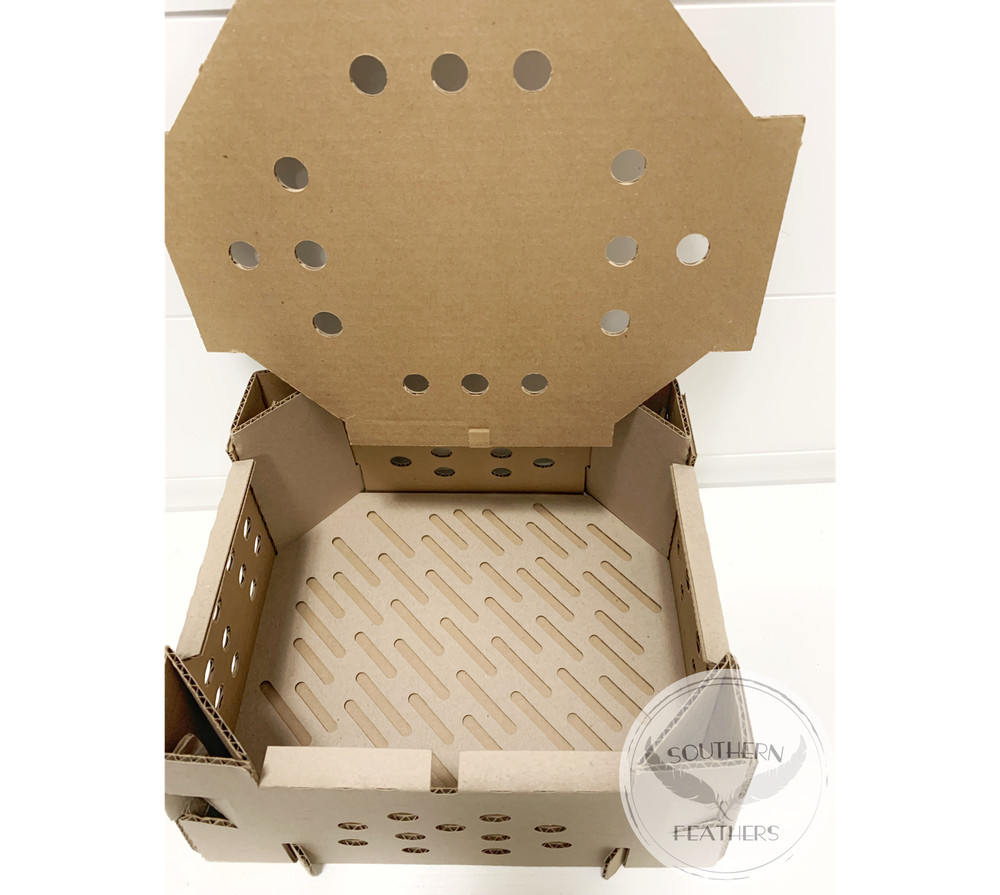 (10) High Quality Chick/Quail Shipping Boxes