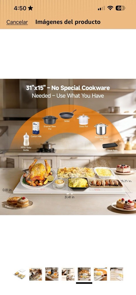 Food Warming Tray