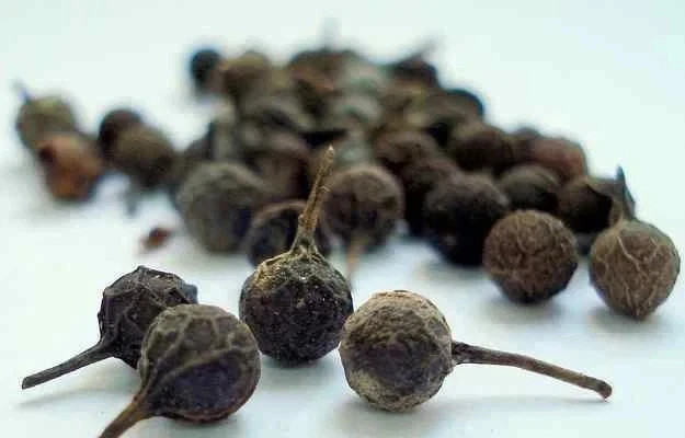Kabab Chini Cubeb Pepper Piper Cubeba Java pepper sheetal chini Spice Seasoning