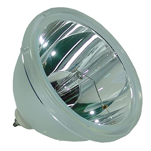 69383 Bulb for Various Projectors