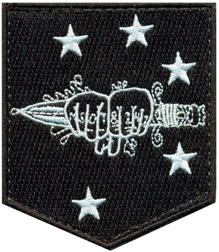 USMC MARINE FORCES SPECIAL OPERATIONS COMMAND (MARSOC) D COMPANY PATCH