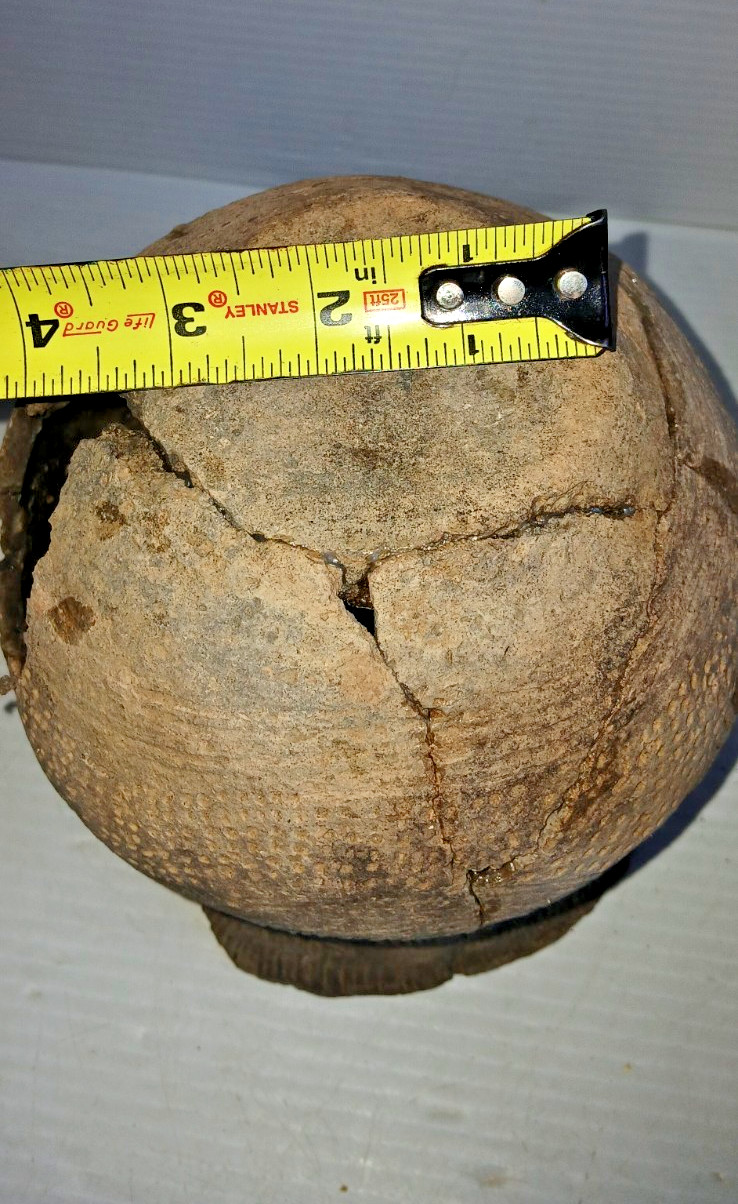 Pre-Columbian Native American Indian Mississippian Partial Pottery Jar Artifact