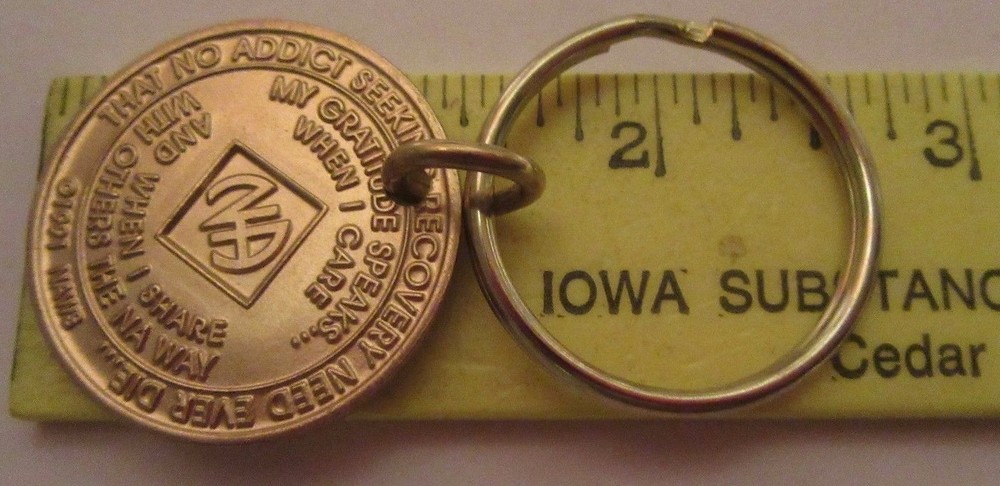 Narcotics Anonymous NA key tag 2 two year keyring medallion Clean